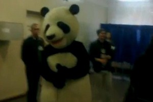 panda
