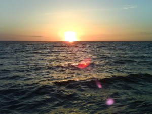 88ccd94fbbe24fa0-large