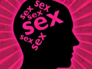53d27e4a5b3ad1ce836ab51185251ed11